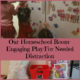 Our Homeschool Room- Engaging Play/ For Needed Distraction
