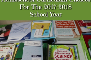 Our 1st Grade Homeschool Curriculum Choices For The 2017-2018 School Year