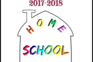 Our Homeschool Goals 2017-2018