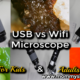 Cheap/ Budget-Friendly Microscopes – Help Make Science Fun With Kids