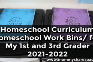 Homeschool Curriculum/ Homeschool Work Bins for My 1st and 3rd Grader 2021-2022